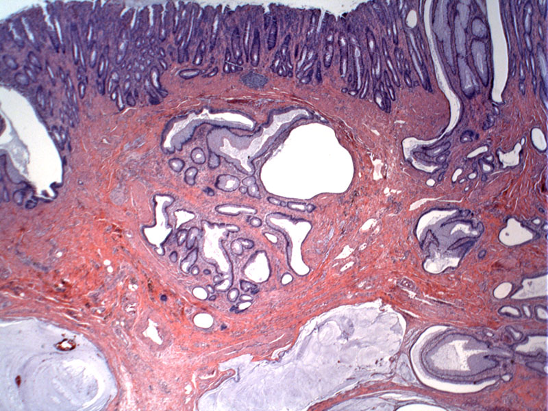 Path Image